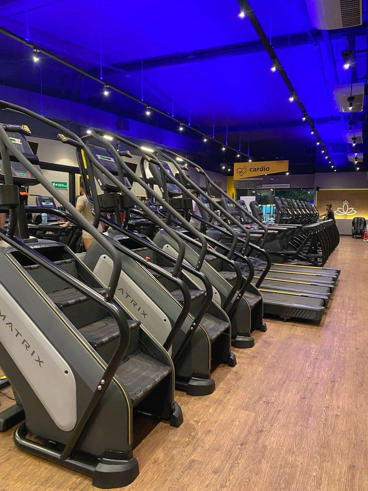 ForceGym Zona Cardiovascular